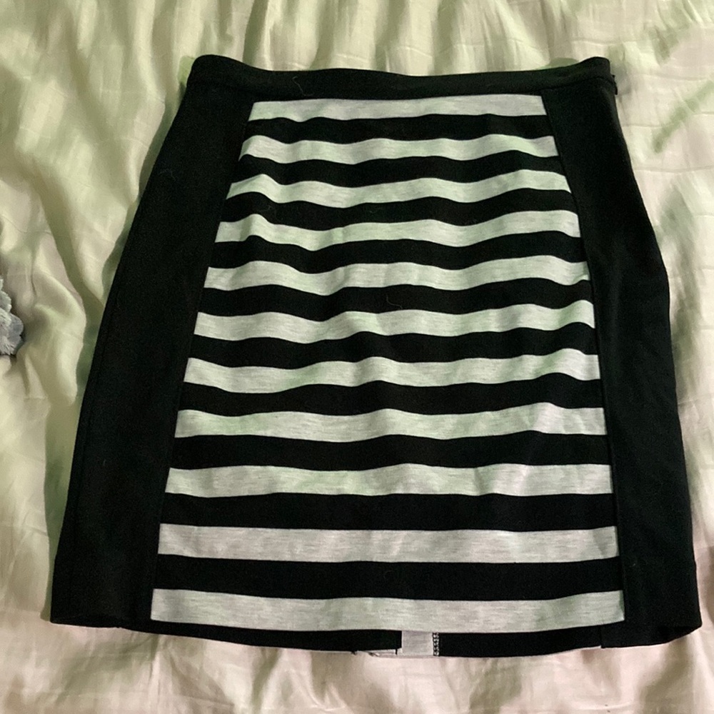 The Limited skirt
